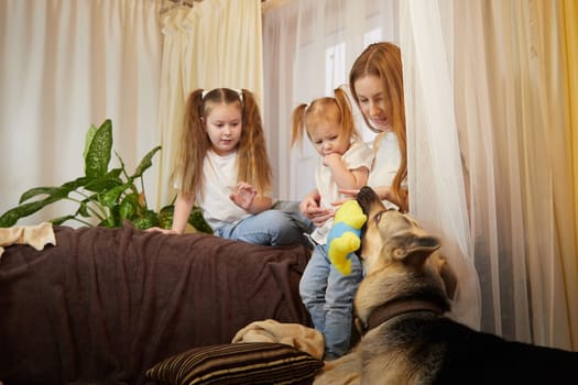 Loving family with mother, daughter sisters and big dog in living room. Woman mom, small child girl, female teenager who is afraid of big pet