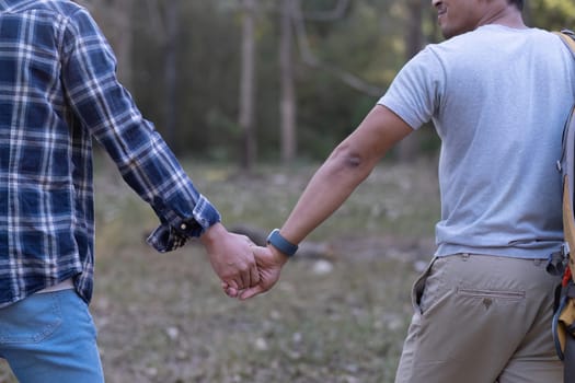 Asian LGBTQ couple. Rear view of gay couple walking together and holding hands..