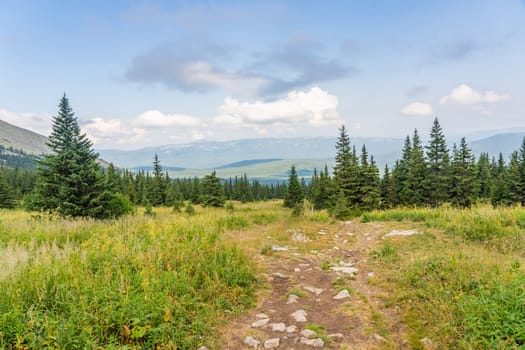 Forests and mountains of the Southern Urals near the village of Tyulyuk in Russia. Drone view