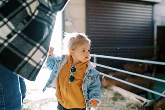 Little girl stands near her mother and looks at the goat in the paddock. Cropped. High quality photo