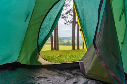 View from the tent to the forest. The concept of outdoor recreation