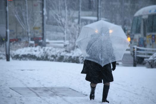 Person walking with a transparent umbrella on a snowy day.