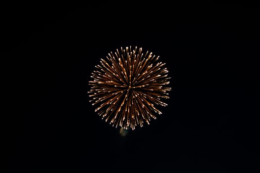 Golden firework burst against a dark night sky.