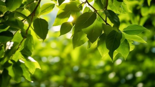 The vibrant green leaves in the summer garden create a natural backdrop, ideal for spring themed backgrounds, cover pages, and ecological or greenery wallpaper designs.