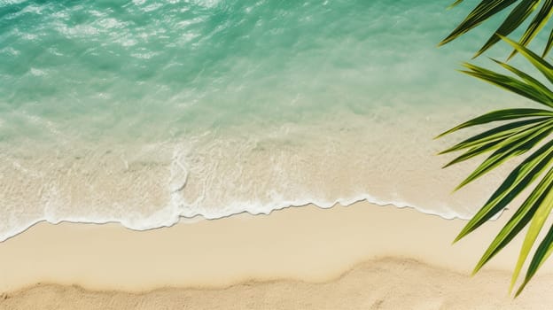 Sunny sand beach with water and green palm leaf from above, empty natural background with copy space AI