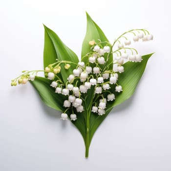 Lily of the valley isolated on white background AI