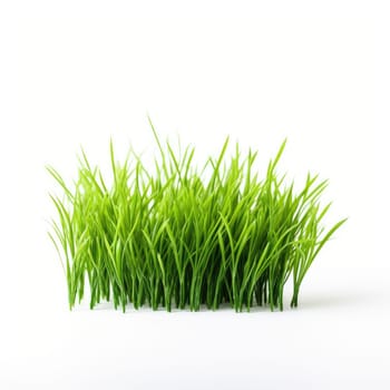 Isolated green grass on a white background AI