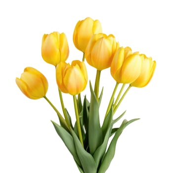 Bouquet of yellow tulips isolated on white background. Mother's Day background. AI