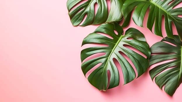 A bright and creative color scheme created from tropical leaves on a pink background, capturing the essence of summer in a bold tropical aesthetic.