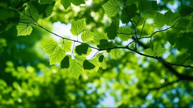 The vibrant green leaves in the summer garden create a natural backdrop, ideal for spring themed backgrounds, cover pages, and ecological or greenery wallpaper designs.