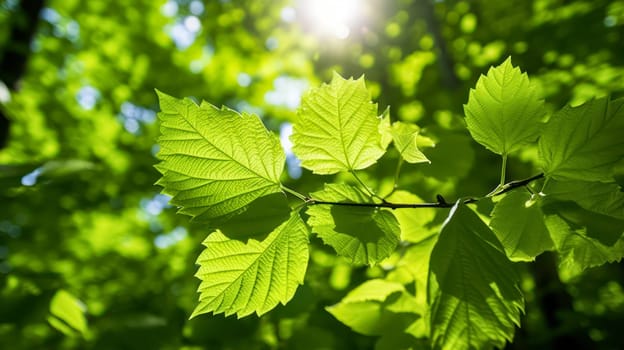 The vibrant green leaves in the summer garden create a natural backdrop, ideal for spring themed backgrounds, cover pages, and ecological or greenery wallpaper designs.