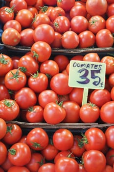 tomato in the farmer market,