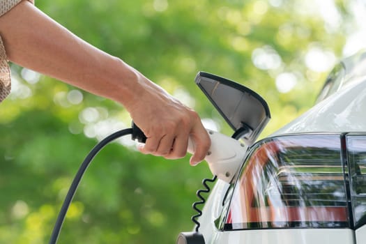 Closeup man recharge electric car's battery from charging station in outdoor green city park in springtime. Rechargeable EV car for sustainable environmental friendly urban travel lifestyle. Expedient