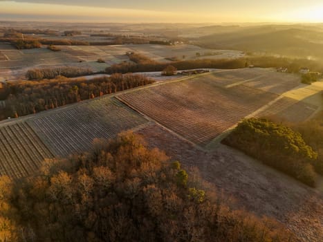 Aerial view of Bordeaux vineyard in winter at sunrise, Rions, Gironde, France. High quality photo