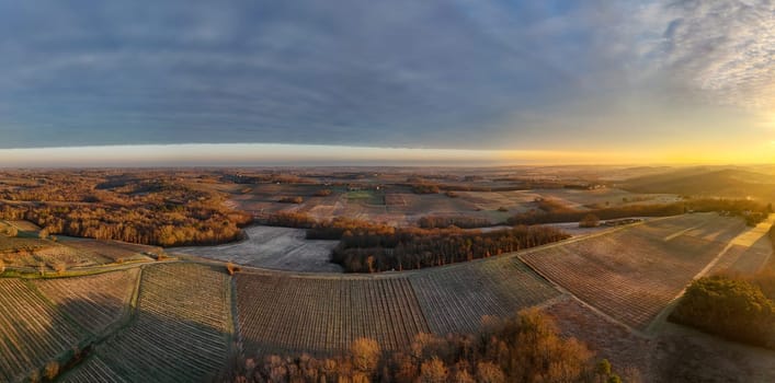 Aerial view of Bordeaux vineyard in winter at sunrise, Rions, Gironde, France. High quality photo