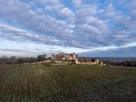 FRANCE, GIRONDE, PORTE DE BENAUGE, BENAUGE CASTLE AND ITS VINEYARDS IN WINTER, AOC CADILLAC COTES DE BORDEAUX, BORDEAUX VINEYARD, AERIAL VIEW. High quality 4k footage