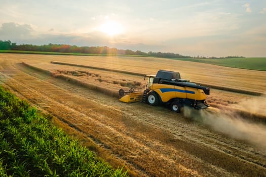 Combine reaper with dust cloud cuts ripe barley in farm field aerial view. Agricultural machinery harvests farm plants for food manufacturing