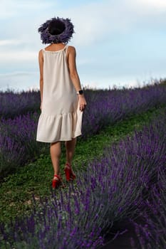 A beautiful girl walks in a white dress in a lavender field, aromatherapy in a lavender field.
