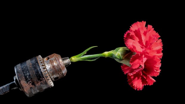 Creative still life with old rusty drill head and red carnation on a black background