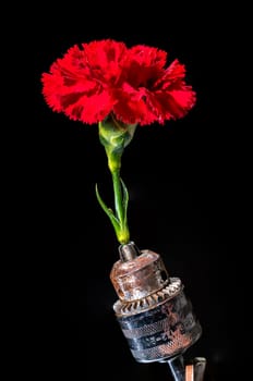 Creative still life with old rusty drill head and red carnation on a black background