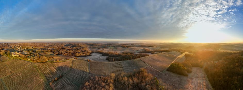 Aerial view of Bordeaux vineyard in winter at sunrise, Rions, Gironde, France. High quality photo