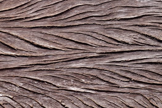 aged wood texture for natural background close-up