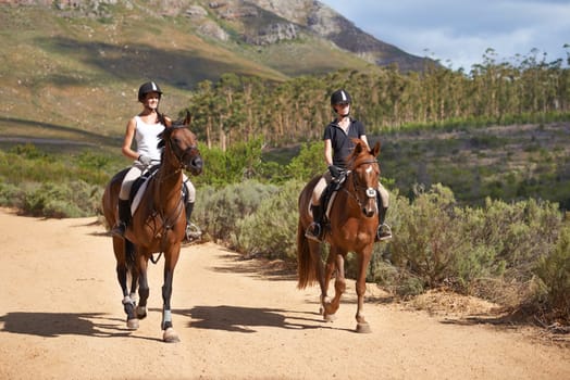 Friends, horse riding or people in countryside outdoor with rider or jockey for recreation or adventure. Relax, pets or women with care or healthy animal for training, exercise or wellness on farm.