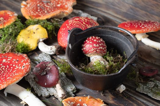 beautiful orange-red fly agaric on a wooden table ,autumn harvest of poisonous mushrooms. High quality photo