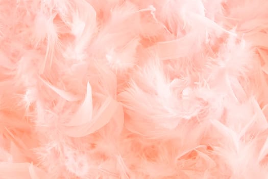 background of pink feathers beautiful tactile soft surfaces and texture, High quality photo