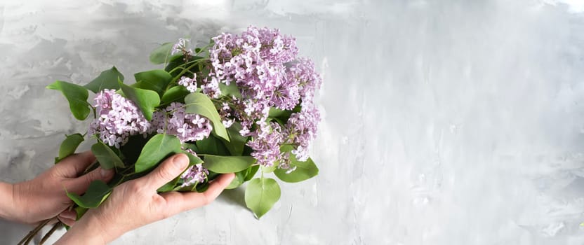 female hands make up a bouquet with a branch of purple lilac on a silver plate on a cement gray background with space for text concept of early spring flowers, High quality photo