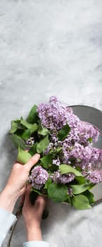 female hands make up a bouquet with a branch of purple lilac on a silver plate on a cement gray background with space for text concept of early spring flowers, High quality photo