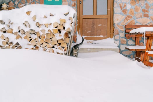 Tabby cat stands near a woodpile on the snow-covered threshold of a stone house near the door. High quality photo