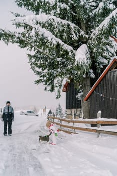 Mom looks at a little girl stroking a cat while standing on a snowy road near the fence of the house. High quality photo