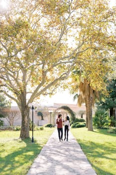 Dad with a little girl on his shoulders walks along the path in the park with mom. High quality photo