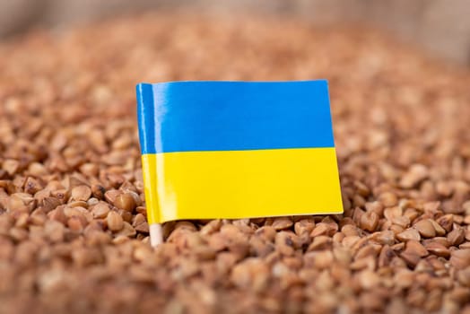 Harvest of buckwheat in Ukraine