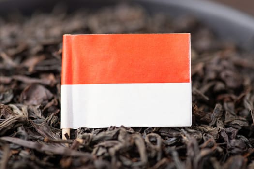 Growing tea in Indonesia