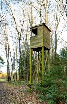 wooden tower or observation tower to watch birds or deers in the forest , in this case in the forest near bad bentheim in germany