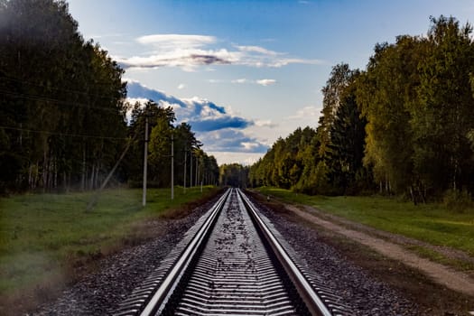 Railroad tracks go into the distance in the forest and cloudy sky