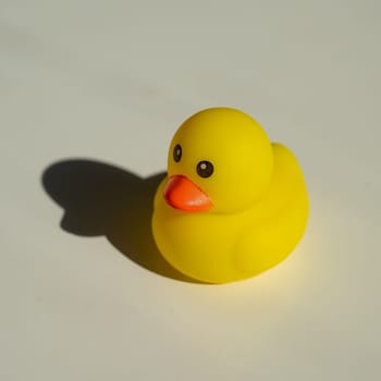 Rubber little duckling for a bath on a white background