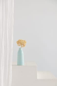 Dry hydrangea flower in blue vase on white interior. Minimalist stilllife banner