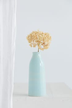 Dry hydrangea flower in blue vase on white interior. Minimalist stilllife banner