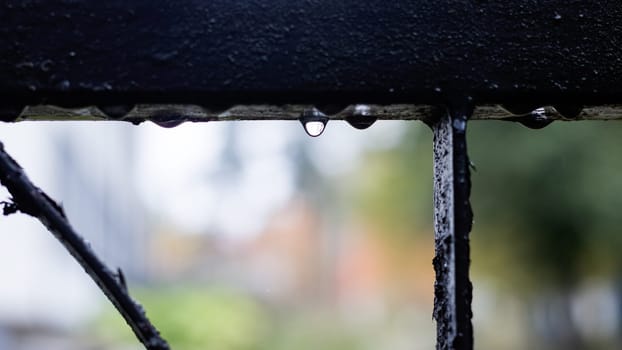 Raindrops on a black metal fence close up, macro photo