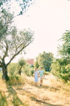 Guy and girl walk holding hands and looking at each other in a sunny park. High quality photo