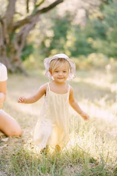 Little smiling girl walks through a sunny meadow. High quality photo