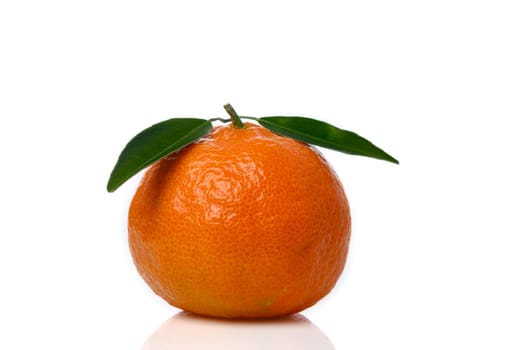 fresh tangerine on white background 6