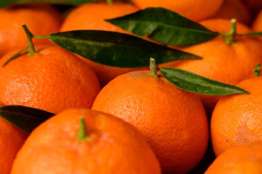 fresh juicy tangerines on a wooden table 6