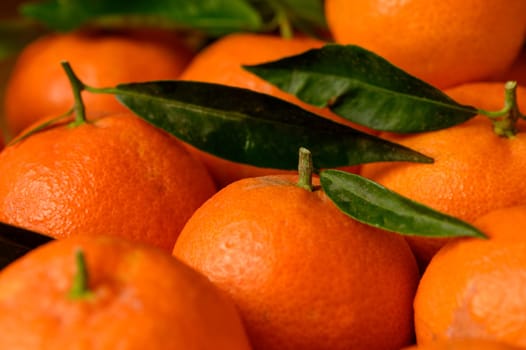 fresh juicy tangerines on a wooden table 4