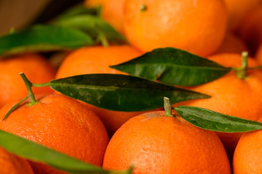 fresh juicy tangerines on a wooden table