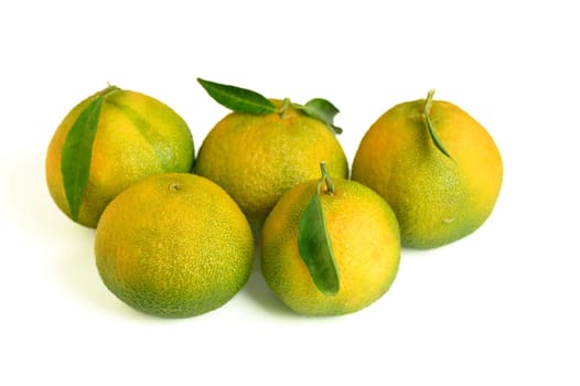 five fresh tangerines on a white background