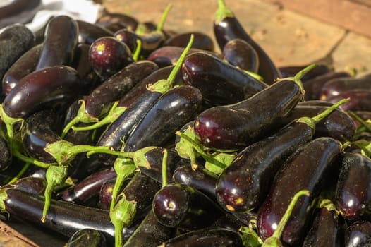 fresh appetizing eggplants at the market on the island of Cyprus in autumn